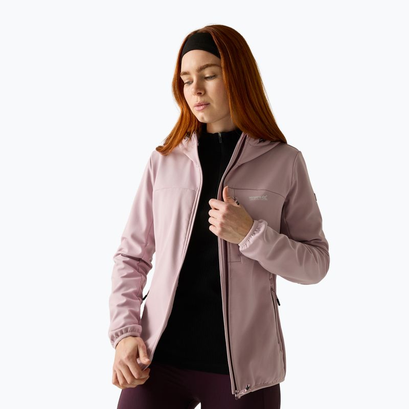 Куртка софтшелл жіноча REGATTA Ossek powder lilac 3