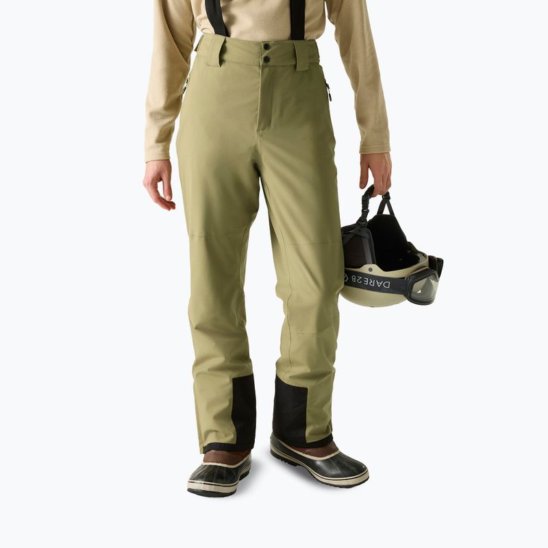 Штани лижні чоловічі Dare 2b Achieve III Pant martini Olive 3