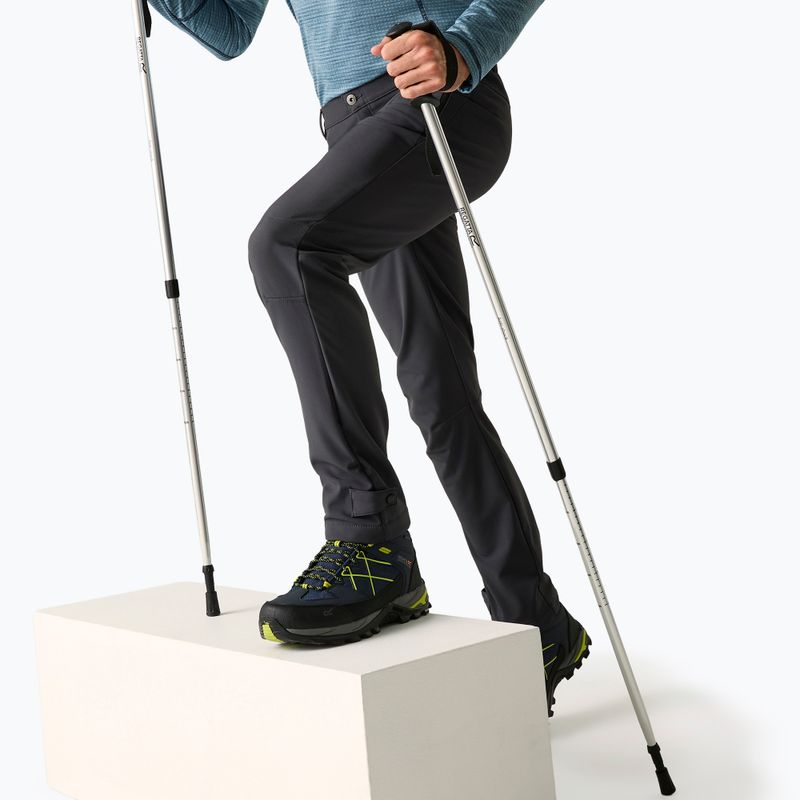 Штани софтшел чоловічі REGATTA Geo Softshell ash 3