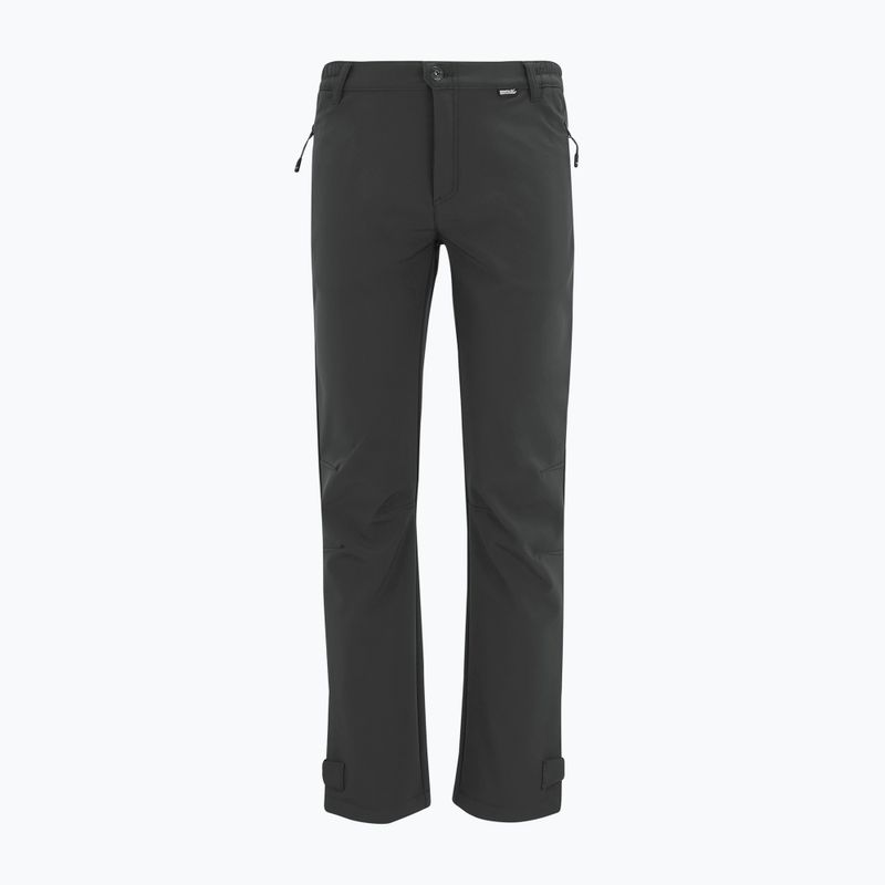 Штани софтшел чоловічі REGATTA Geo Softshell ash 7