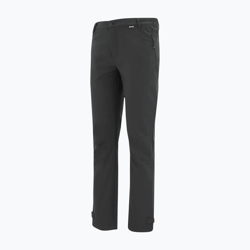 Штани софтшел чоловічі REGATTA Geo Softshell ash 9