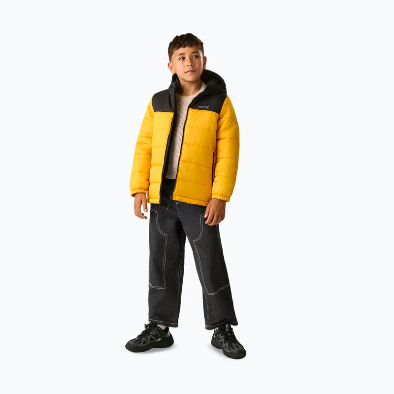 Куртка утеплена дитяча REGATTA Lofthouse black/mustard 2