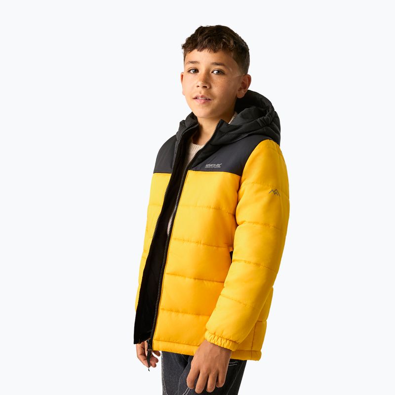 Куртка утеплена дитяча REGATTA Lofthouse black/mustard 5