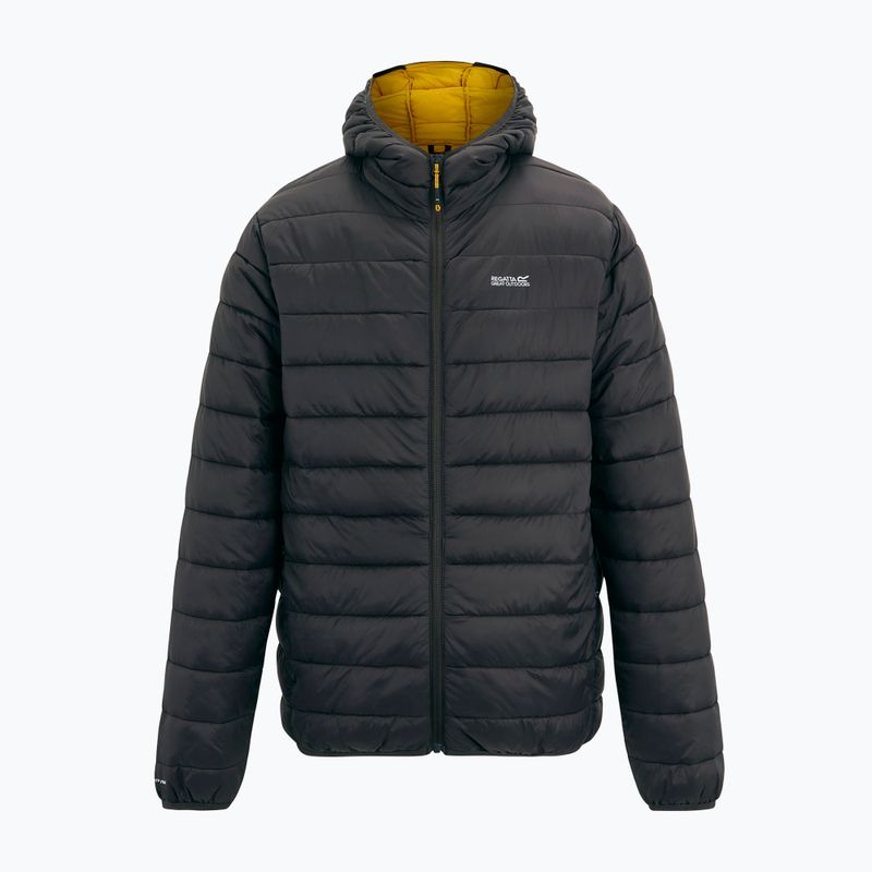 Пуховик чоловічий Regatta Hooded Marizion ash/sunset