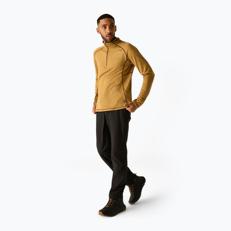 Кофта флісова чоловіча REGATTA Yonder II wood brown 2