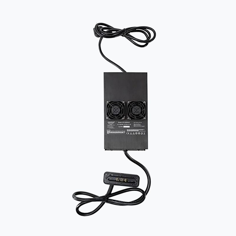 Зарядний пристрій для електричної дошки Radinn Standard charger EU KP чорний 910024AA