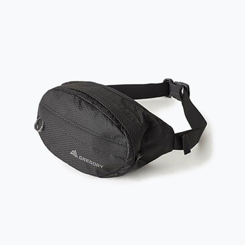 Барсетка Gregory Nano Waistpack чорна 126861 9