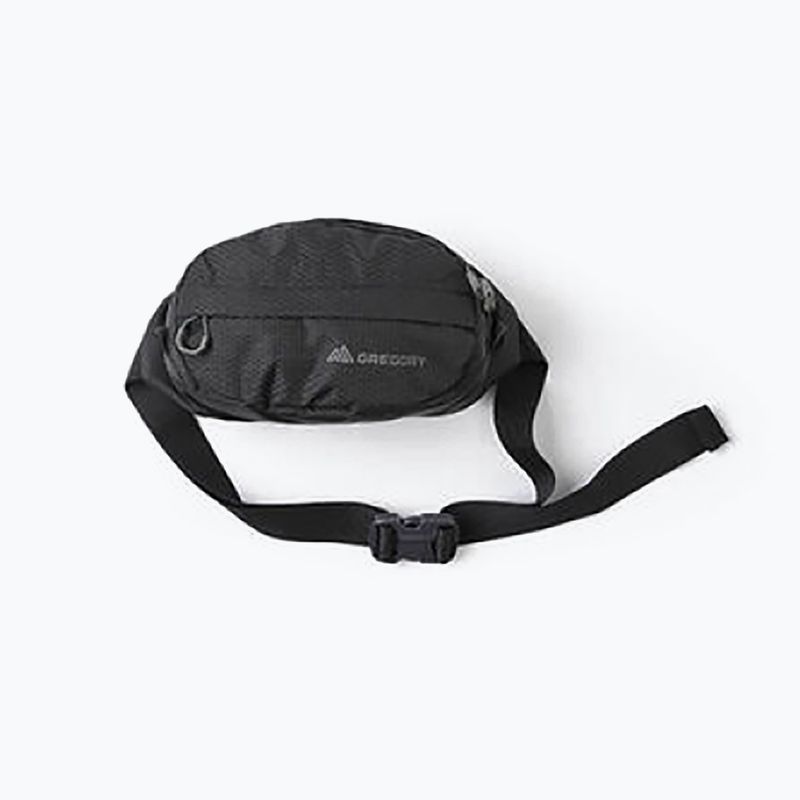 Барсетка Gregory Nano Waistpack чорна 126861 11