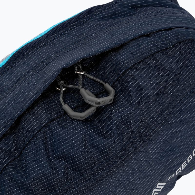 Барсетка Gregory Nano Waistpack синя 126861 4