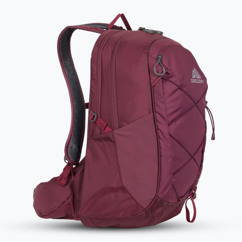 Рюкзак туристичний Gregory Kiro 22 l amethyst purple 2