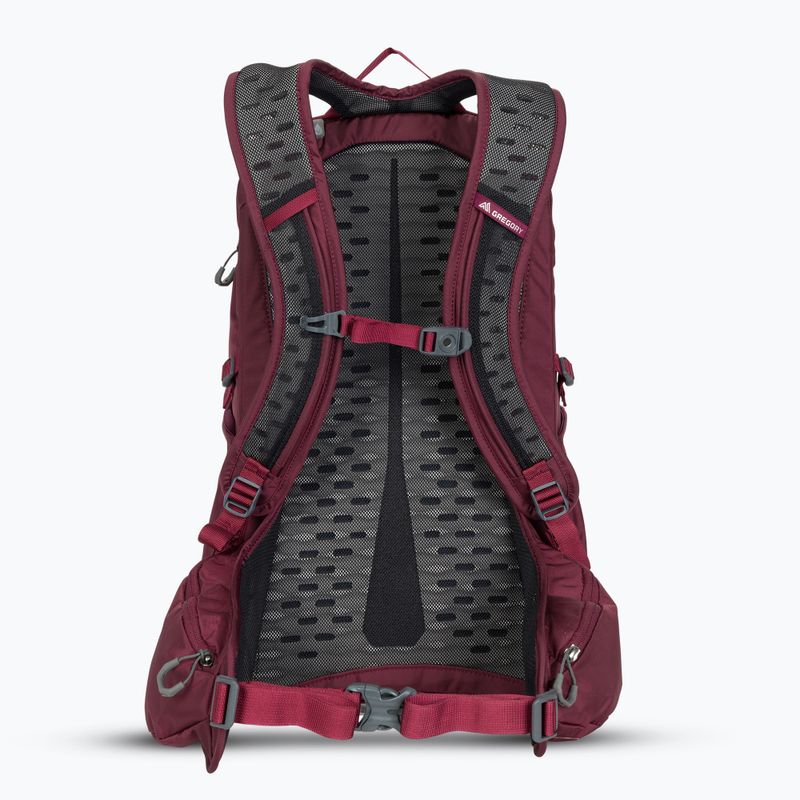 Рюкзак туристичний Gregory Kiro 22 l amethyst purple 3