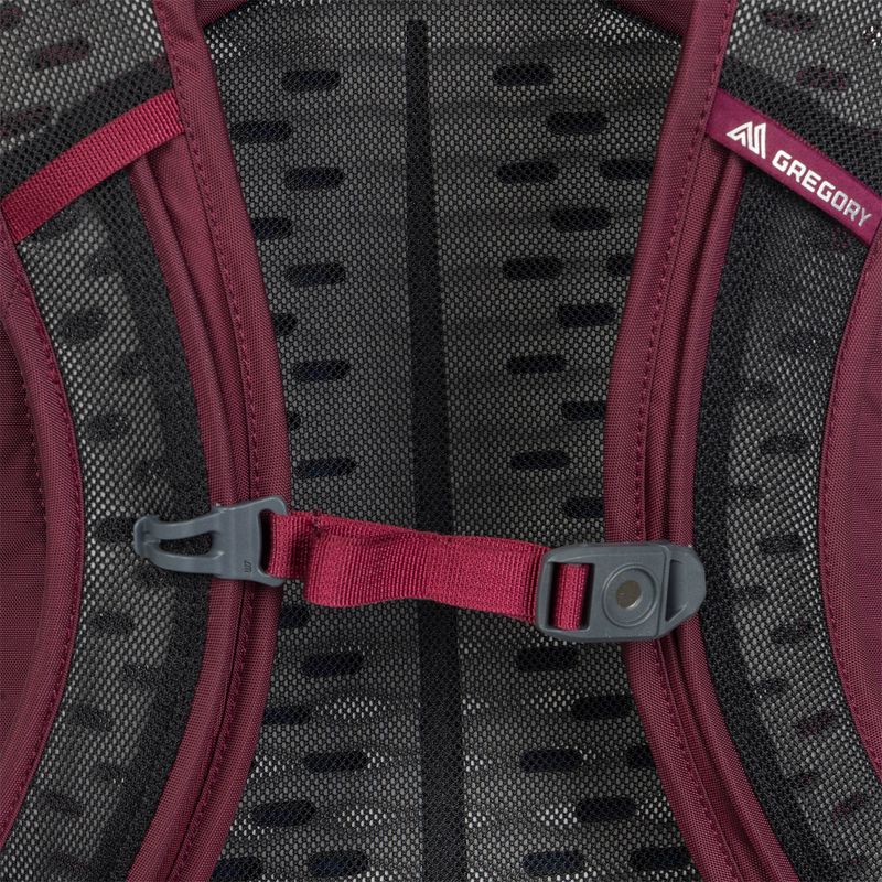 Рюкзак туристичний Gregory Kiro 22 l amethyst purple 5