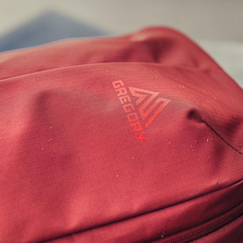 Рюкзак туристичний Gregory Rhune 22 l brick red 10