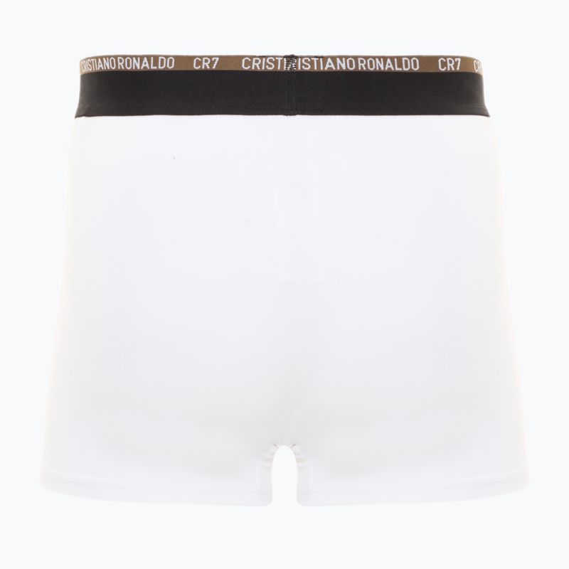 Труси чоловічі CR7 Basic Trunk 10 пар multicolur 5