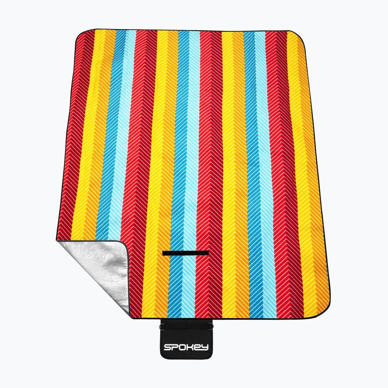 Покривало для пікніка Spokey Picnic Grain 839638 6