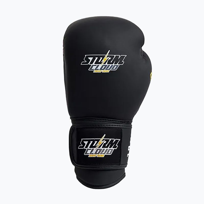 Рукавиці боксерські StormCloud Boxing Pro black 3