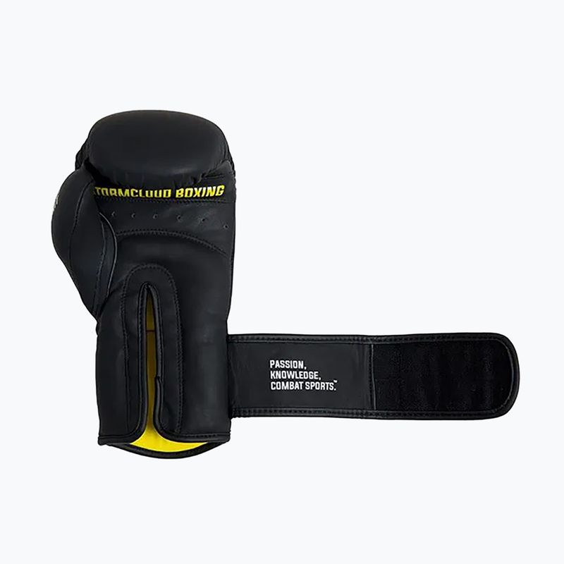 Рукавиці боксерські StormCloud Boxing Pro black 6