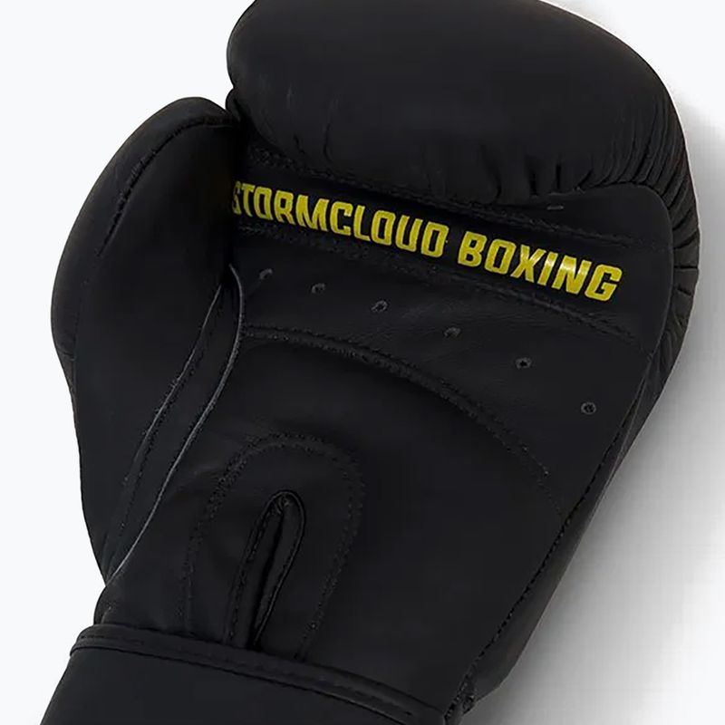 Боксерські рукавиці StormCloud Boxing Pro black 9