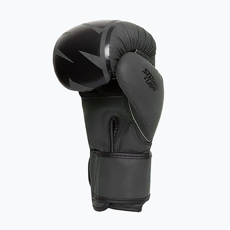 Рукавиці боксерські StormCloud Bolt 2.0 black/black 5