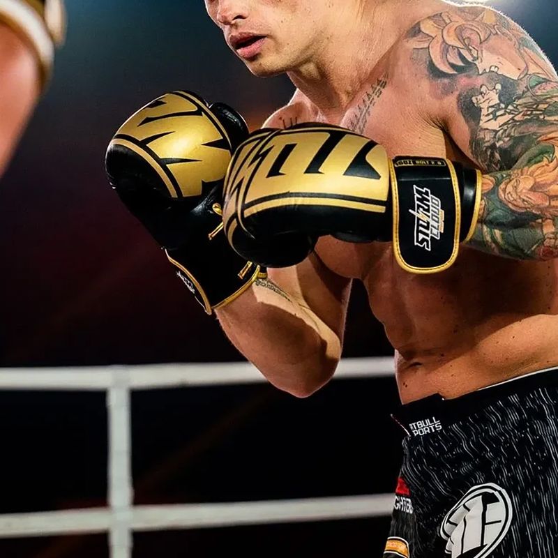 Рукавиці боксерські StormCloud Bolt 2.0 black/gold 13