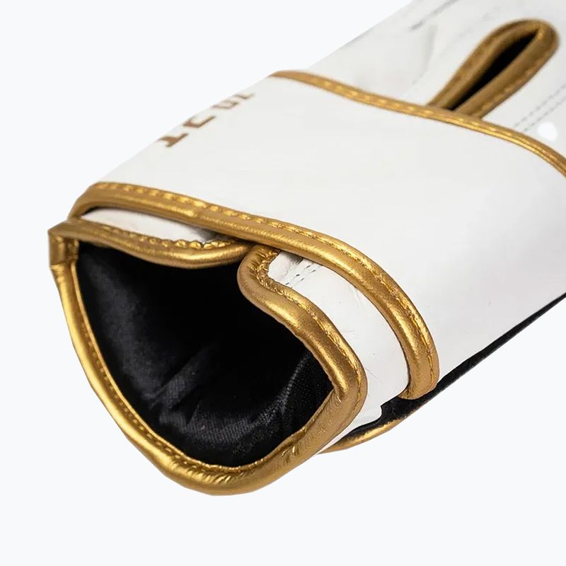 Боксерські рукавиці StormCloud Boxing Pro white/gold 6