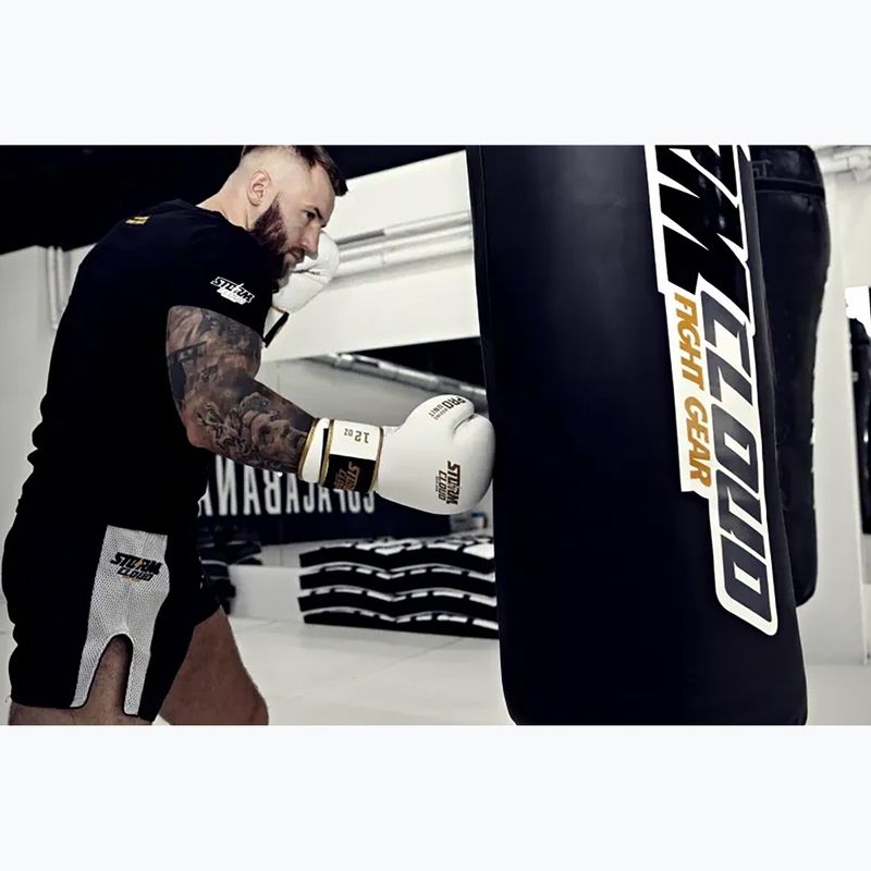Рукавиці боксерські StormCloud Boxing Pro white/gold 11