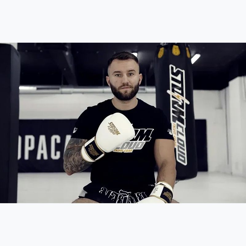 Боксерські рукавиці StormCloud Boxing Pro white/gold 12