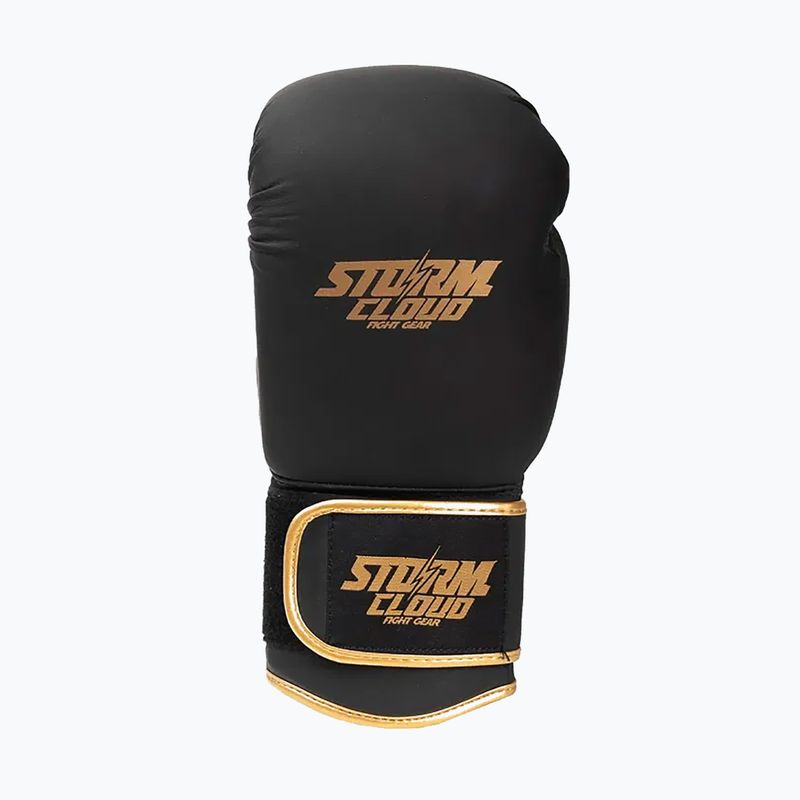 Рукавиці боксерські StormCloud Boxing Pro black/gold 3