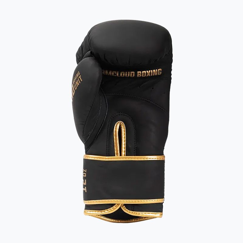 Рукавиці боксерські StormCloud Boxing Pro black/gold 4