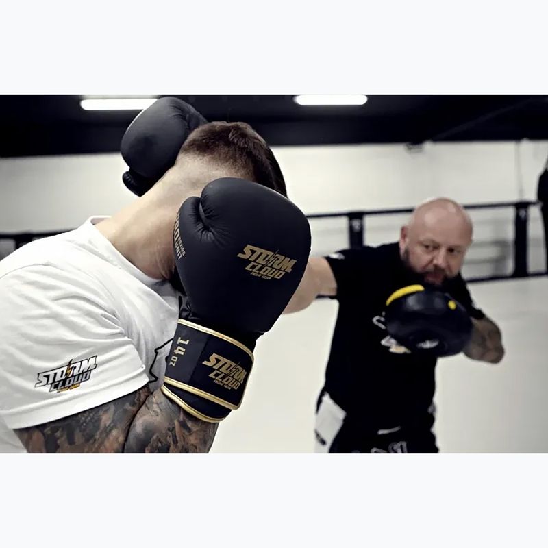 Рукавиці боксерські StormCloud Boxing Pro black/gold 12