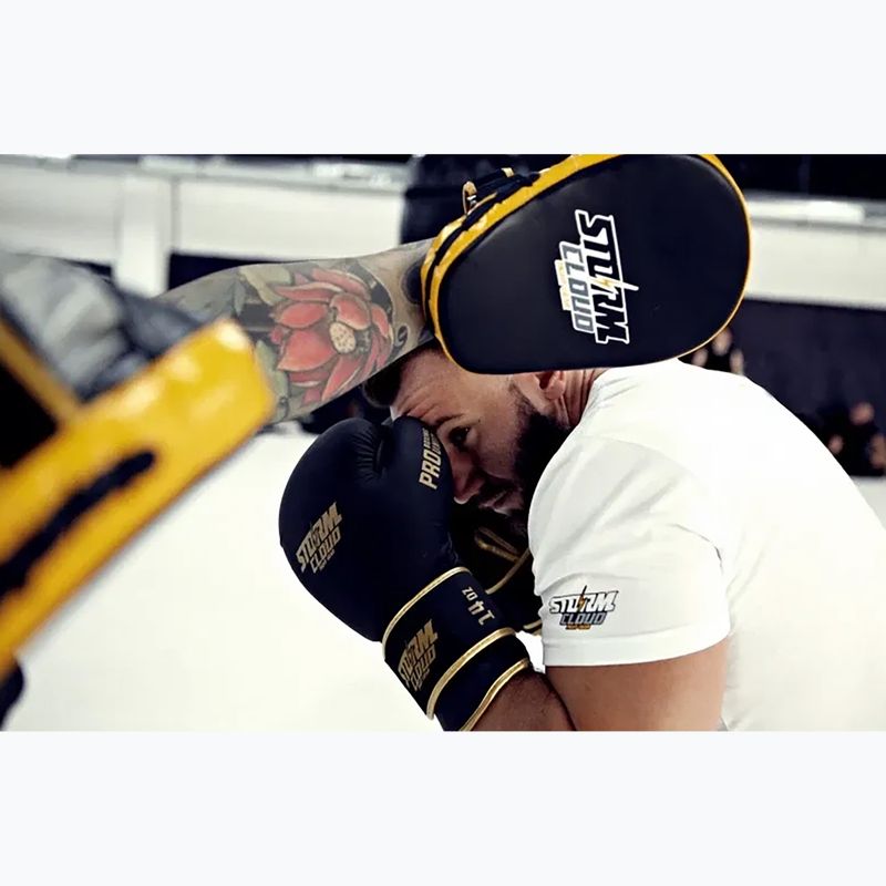 Боксерські рукавиці StormCloud Boxing Pro black/gold 14