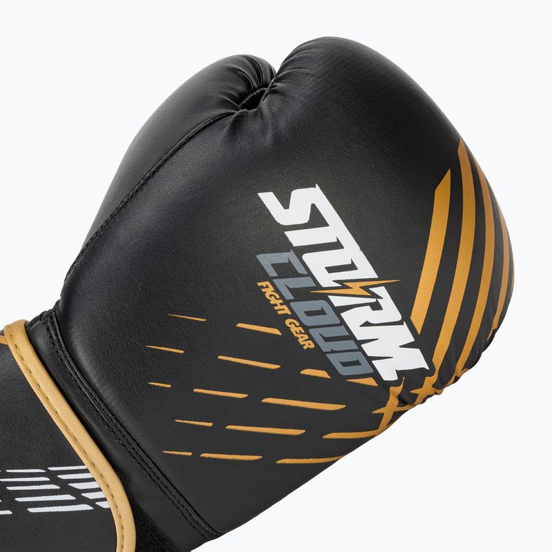 Рукавиці боксерські StormCloud Lynx black/gold 5