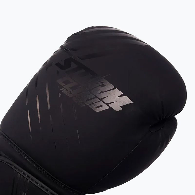 Рукавиці боксерські StormCloud Lynx black/black 4