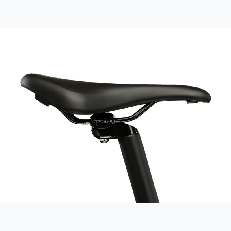 Велосипед гірський жіночий KROSS Lea 2.0 W 29 м'ятний/фіолетовий/матовий 12