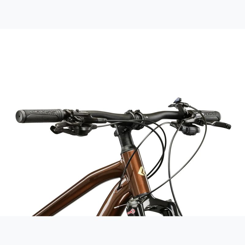 Велосипед гірський KROSS Hexagon 5.0 29" коричневий/золотий/глянцевий 4