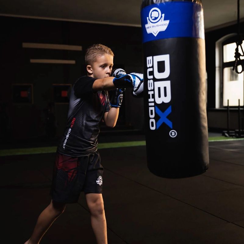 Мішок для тренувань дитячий DBX BUSHIDO Junior blue 6