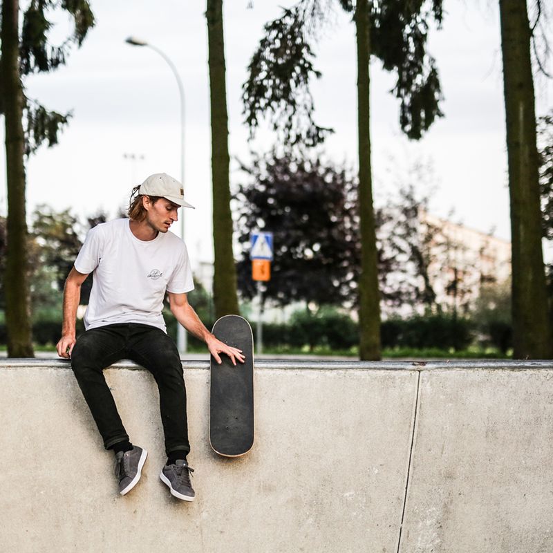Скейтборд класичний Fish Skateboards Sprats 8
