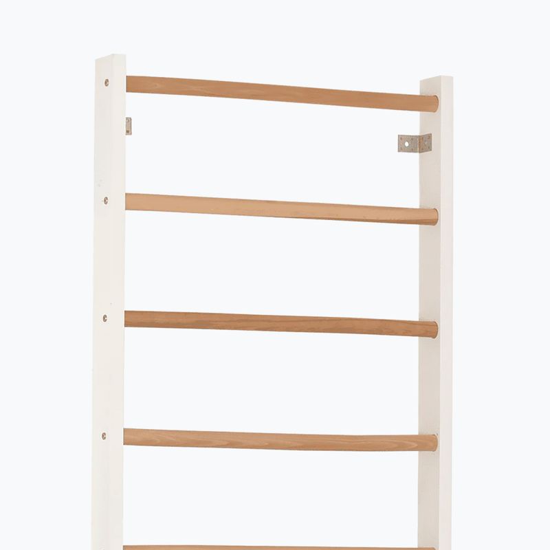 Драбинка гімнастична RINAGYM Kombi 1 white 4