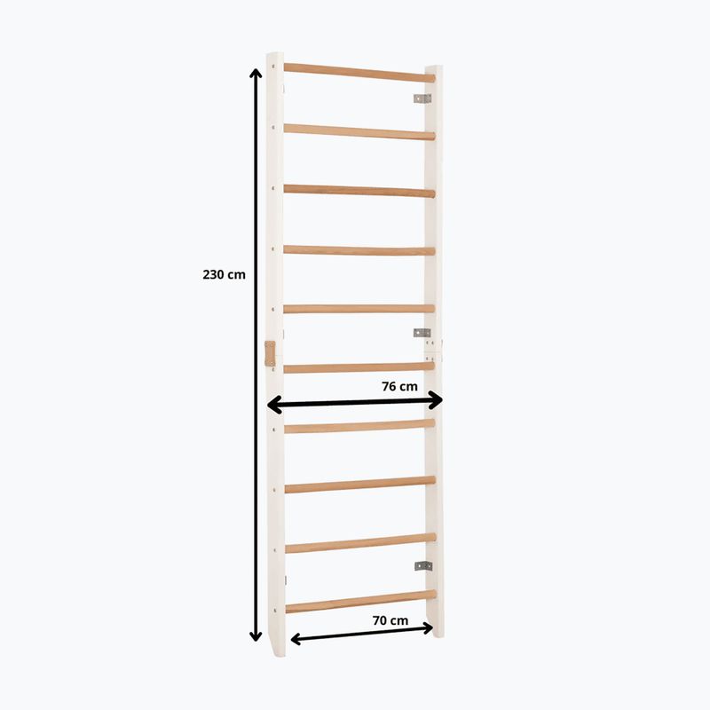 Драбинка гімнастична RINAGYM Kombi 1 white 5