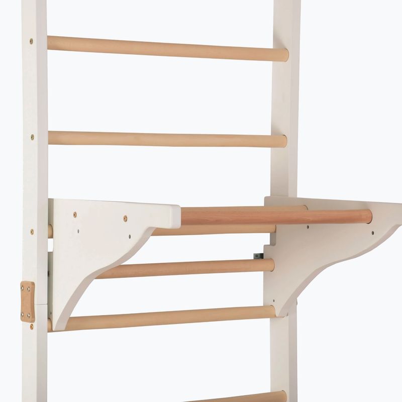 Драбинка гімнастична RINAGYM Pro 2 white 6