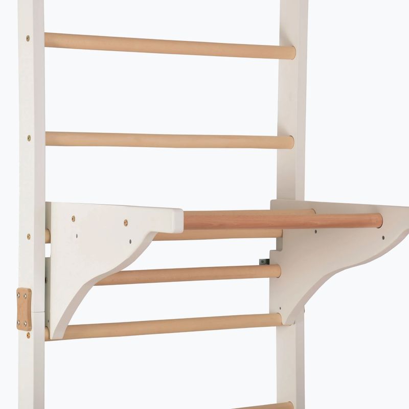 Драбинка гімнастична RINAGYM Pro 3 white 4