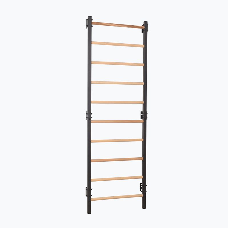 Драбинка гімнастична RINAGYM Steel 1 graphit 2