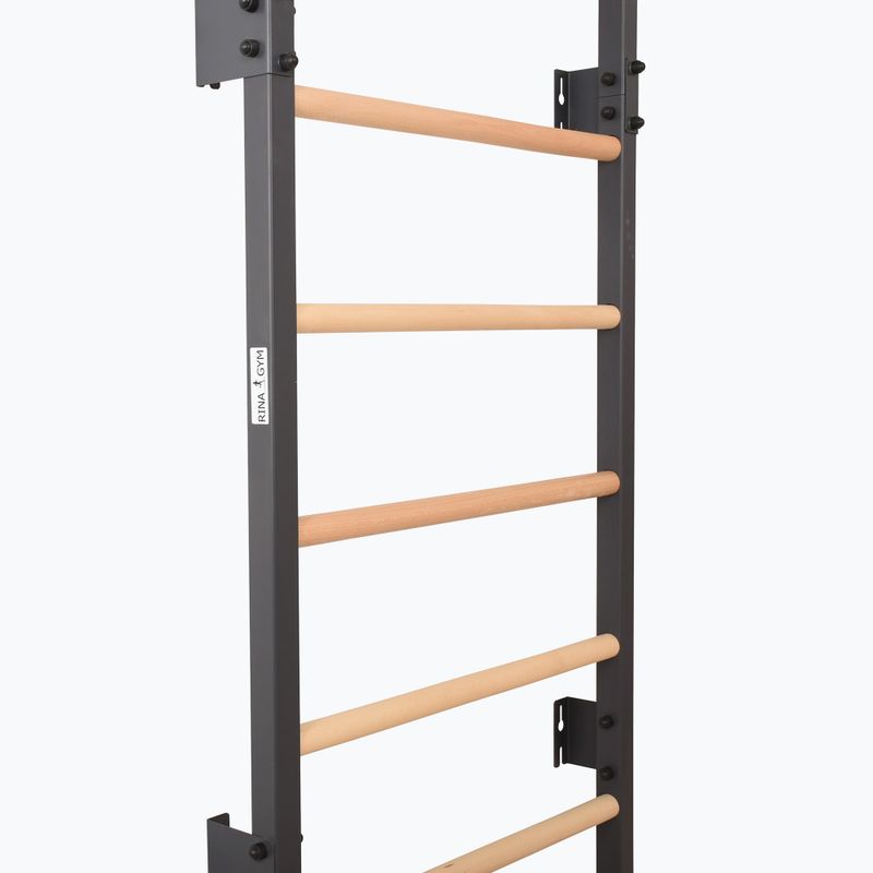Драбинка гімнастична RINAGYM Steel 1 graphit 3
