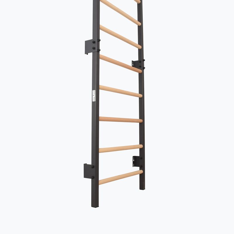 Драбинка гімнастична RINAGYM Steel 1 graphit 4
