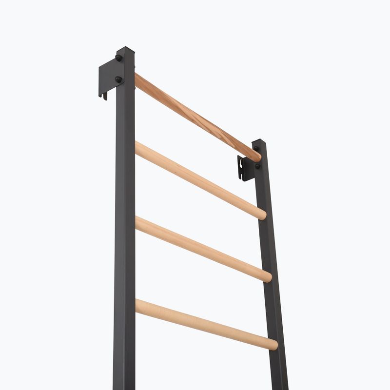 Драбинка гімнастична RINAGYM Steel 1 graphit 5