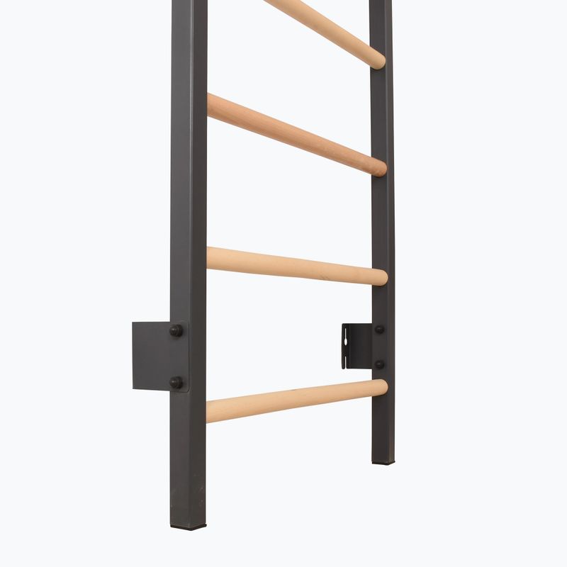 Драбинка гімнастична RINAGYM Steel 1 graphit 3
