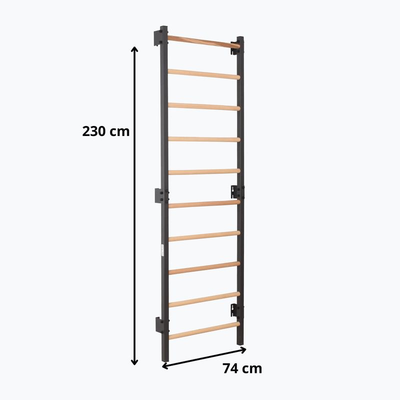 Драбинка гімнастична RINAGYM Steel 1 graphit 9