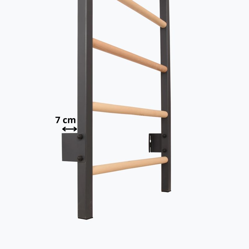 Драбинка гімнастична RINAGYM Steel 1 graphit 10