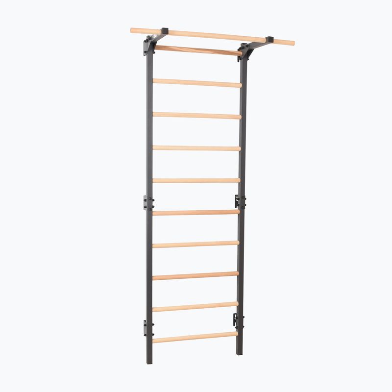 Драбинка гімнастична RINAGYM Steel Pure graphit 2