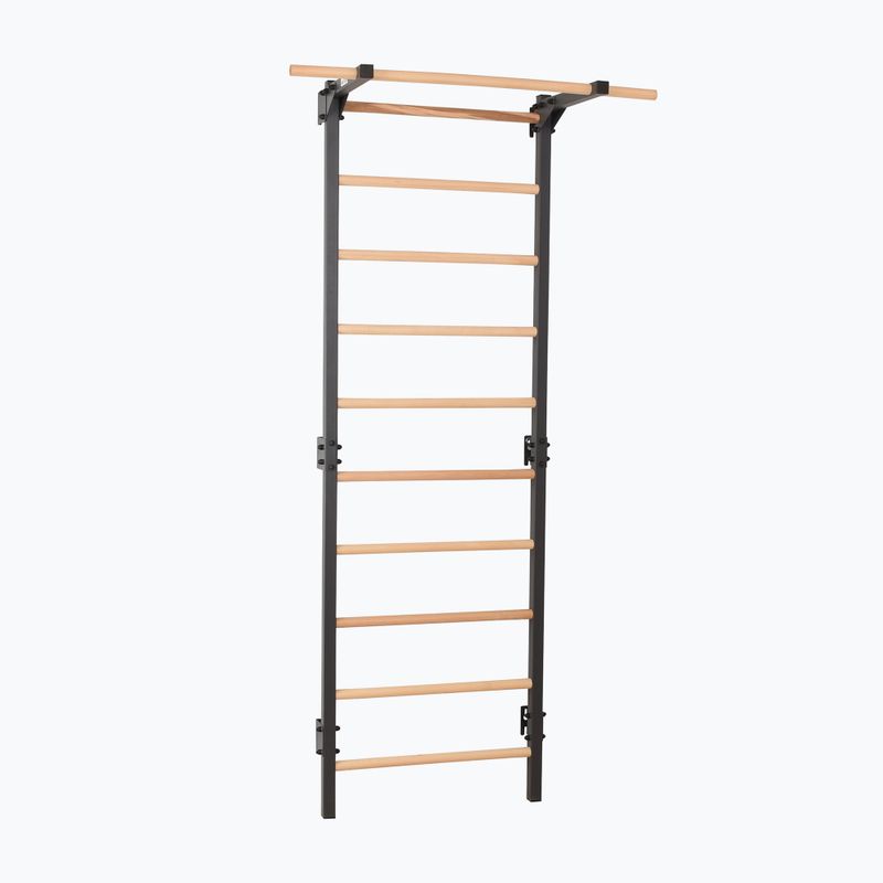 Драбинка гімнастична RINAGYM Steel Pure graphit 3